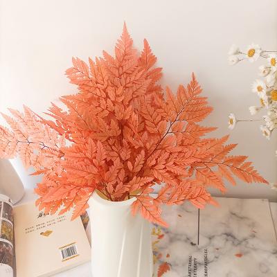 China Amazon Durable Hot Sale Home Decoration Preserved Flower Dried Natural Leaf Arachniodes Leaves for sale