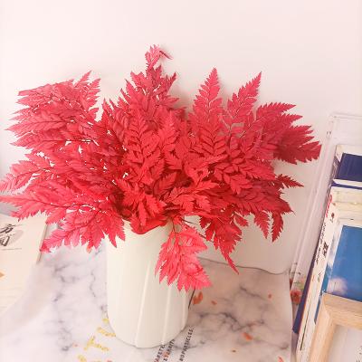 China 2021 Durable Amazon Most Popular Decoration Leaves Ming Preserved Fern Alpine Fern Leaves for sale