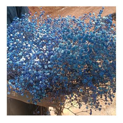 China Durable Factory Direct Sales Stabilized Babysbreath Preserved Gypsophila Everlasting Babysbreath Flower for sale