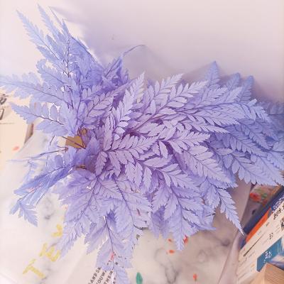 China Durable Manufacturers Wholesale Hot Sale Preserved Leaves Fern Leaf For Wedding Decoration for sale