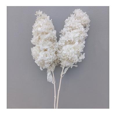 China Wholesale Natural Preserved Material Anna Hydrangea For Wedding Natural Touch Flower Bouquet Decoration for sale