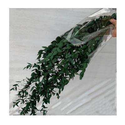 China Factory Wholesale Durable Chinese Style Preserved Flower Eucalyptus Tenuifolia For Wedding Decoration for sale