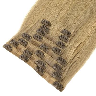 China 100% Pulled Ins Double Straight Clip Hair Wholesale Price Clip In Hair Extensions for sale