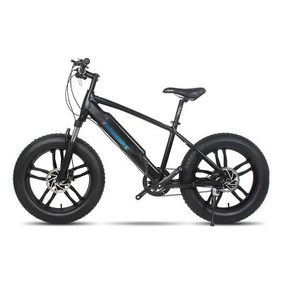 China Aluminum Alloy Electric Bike 500W Brushless Motor 20*4 Inch Fat Tire Electric Mountain Bike Ebike With 48V 10AH Battery Outdoor Riding for sale