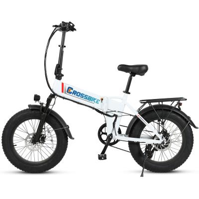 China Aluminum Alloy Electric Bike 500W 10Ah 20 Inch Fat Tire Electric Bike 48V Folding Fat Tire Snow Foldable Beach Electric Bike for sale