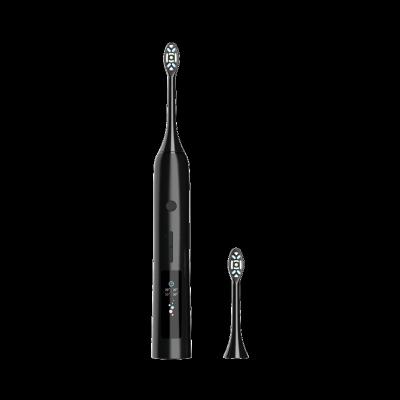 China New Protable 5 Modes ODM/OEM Toothbrush Manufacturer IPX7 Waterproof Electric Toothbrush Price for sale