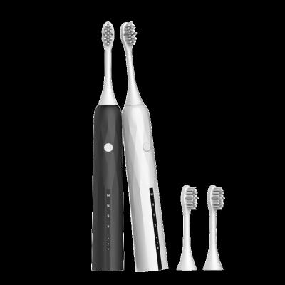 China Protable OEM/ODM Sonic Electric Toothbrush IPX7 Fashionable Dupont Brush Head Electric Toothbrushes for sale