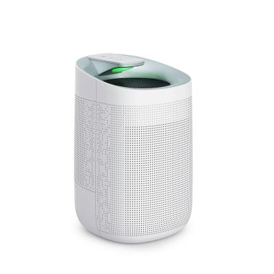 China Hotel Mini Air Purifier Air Conditioner Portable Dehumidifier Basement Bedroom Quiet Home Quiet Dehumidifier 1L for sale