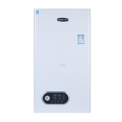 China 20KW Household Gas Boiler Wall Mounted Wall Hung Gas Boiler Natural Gas Heating Home Wall Mounted Hot Water Boiler for sale