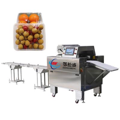 China Automatic Food Plastic Cling Film Wrap Automatic Fresh Meat / Frozen Chicken Meat Tray Packing Machine for sale