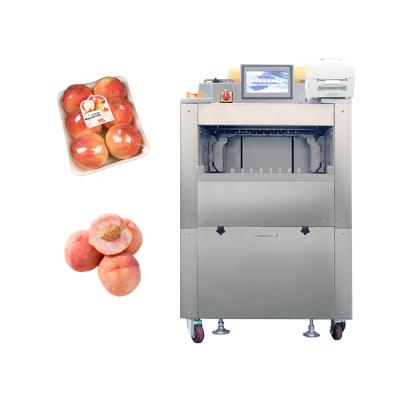 China Semi - Automatic Food Cling Wrapping Machine For Food With Weight And Labeling for sale