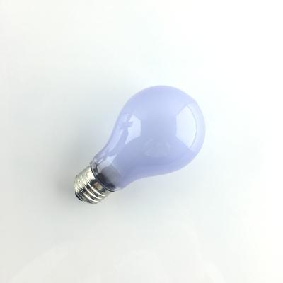 China Viable Reptile Bulb A19 Frosted Moonlight Neodymium 110V 220V 40W 60W Daylight Bulb Tungsten Night Lamp Glass Lamp for sale