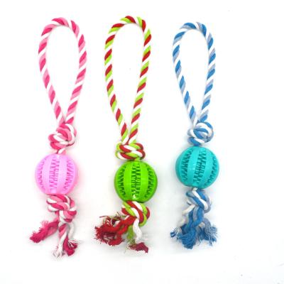 China 2021 New Design Dogs Watermelon Food Ball Dog Toy Rubber Clean Rope Ball Leaking Brand New Dog Toy for sale