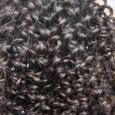 China New Arrival Curly Mink Virgin Brazilian Hair Bundles 100% Kinky Curly Hair Bundles Raw , Raw Virgin Brazilian Cuticle Aligned Hair for sale