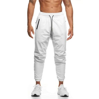 China Anti-wrinkle Autumn And Winter Quick Dry plus size gym panties solid color jogger pants men sport pants for sale