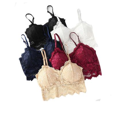 China POLYESTER / NYLON women padded tube top pretty lace bandeau top seamless tube top 5 colors tube bra girl bra free size for sale