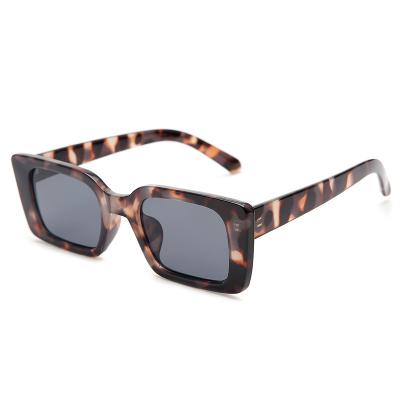 China Fashion Sunglasses Wholesale Designer Square Shades Sunglasses Black Customize Logo Leopard Sunglasses For Women for sale