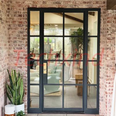 China Hall External Steel Pivot Lockset Iron Door Design Waterproof Double Doors Master Bedroom for sale