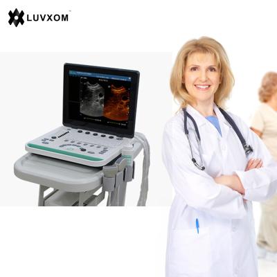 China Private Clinic LX-BW-L3 hot sale portable 15 inch laptop ultrasound scanner ultrasound machine for sale