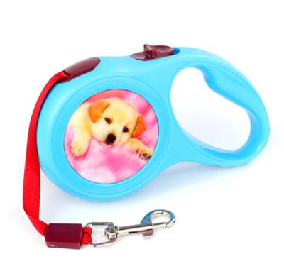 China Sublimation Retractable Auto Pull Pet Rope Viable For Dog for sale