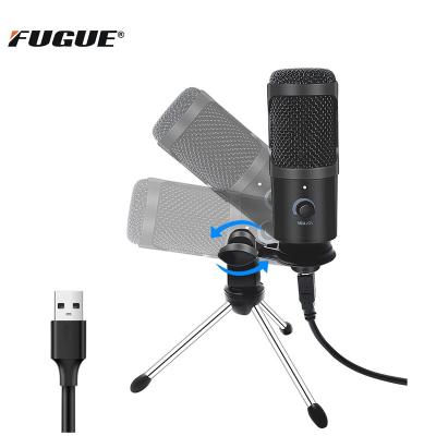 China Large-Diaphragm Professional Cardioid Portable Singing Condenser Work Range Studio Recording Microphone for sale