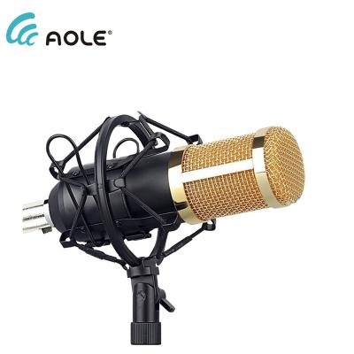 China Bm800 Studio Professional Condenser Recording Studio USB Condenser Microphone with Tripod Stand for Phone Vlogging Online Game for sale