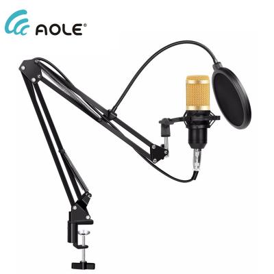 China NEW Wholesale T669 Bm800 Professional Studio Condenser Studio Recording USB Condenser Microphone for sale