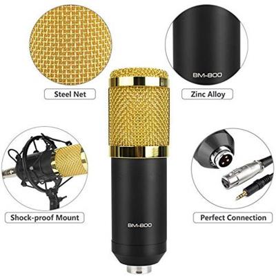 China Professional Bm800 studio condenser OEM factory condenser microphone studio recording bm800 with sound card for sale