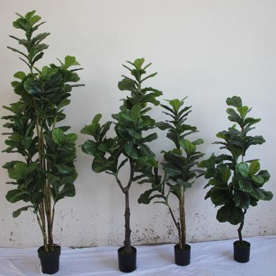 China Faux Plant for Home Decor 6.6ft or 2m Height Artificial Fake Bonsai Violin Tree Almost Natural Potted Lyrata Plants for sale