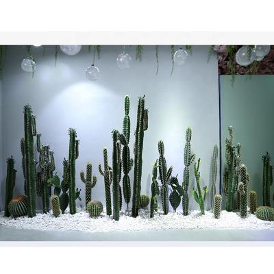 China Mexico baby yucca cactus prickly pear trees light green plastic minimalist decoration UV proof poinsettia amaryllis plants for sale