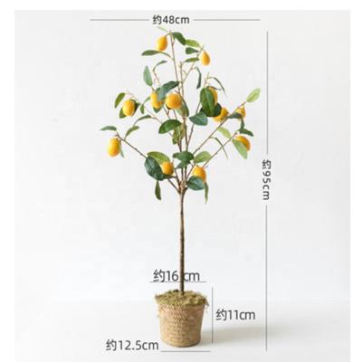 China Minimalist EUCALYPTUS Olive Fern Yucca lemon 90CM or 3FT old cherry fruit red solar ficus tall artificial Christmas potted evergeen trees for sale