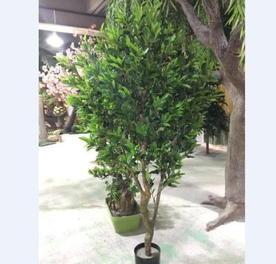 China Tree For Decor Home Decor Wholesale Small Cheap Artificial Plastic 230cm Or 7.6ft Ornamental Olive Trees for sale