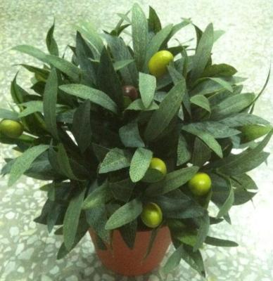 China Tree For Decor Wholesale Small 30cm Or 1ft Olive Tree Fake Olive Plant Artificial With Pot For Home Office Malls for sale