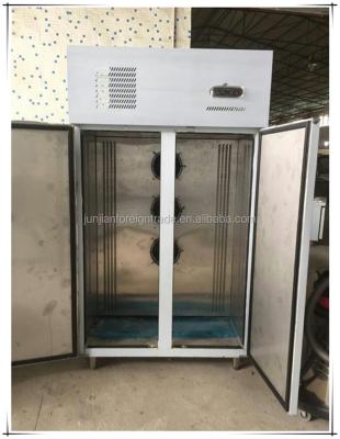 China Single-temperature 304 stainless steel body commercial blast freezer used for kitchen and hotel with compressor made in china for sale