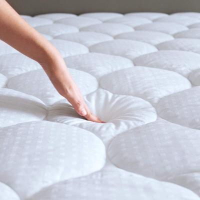 China Antistatic Queen Mattress Mattress Topper ---quilted fitted bed mattress for sale