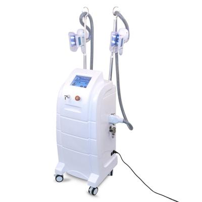 China Hot 2022 Weight Loss Products New Product Freezer Beauty Equipment For Weight Loss for sale