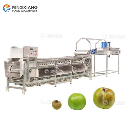 China High Efficiency Easy Operate Fruit And Vegetable Potato Onion Tamato Peach Grading Sorter With Inspection Conveyor for sale