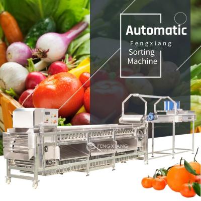 China High Efficiency Easy Operate Automatic Vegetable and Fruit Onion Grading Machine Carrot Potato Dimension Sorter for sale