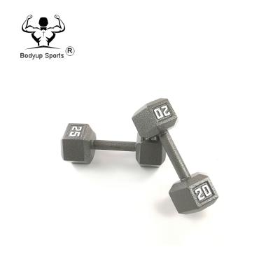 China High Quality Weightlifting Gray Cast Iron Hexagon Dumbbell Dumbbell for sale