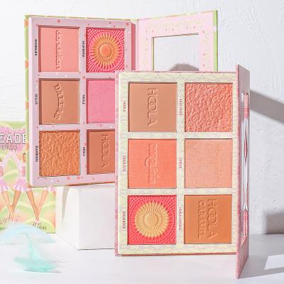 China Other New Six-color Eyeshadow Palette Highlighter Bar Blush Face Color Matte Cute Makeup Female CosmeticsEye Transparent Shadow for sale