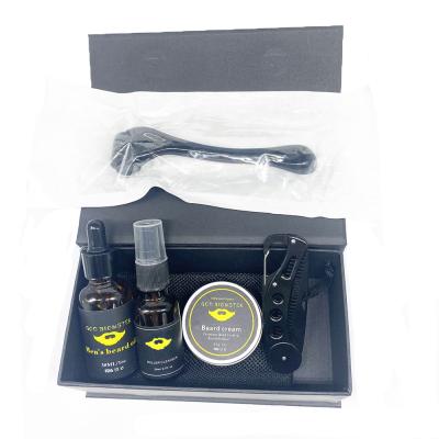 China Beard Growth Kit For Beard Roller Custom Logo Facial Hair Growth Microneedle Grooming Kit Men's Bleaching Bleaching for sale