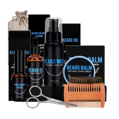 China Other Custom Private Label Gift Set Professional Grooming Natural Beard Care Men's Beard Growth Kit for sale