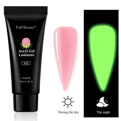 China DIY Nail Art Beauty 12 Colors Glow In The Dark Neon Gel Nail Polish Nail Polish Glow Effect Nail Polish for sale