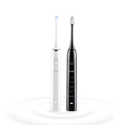 China Hot Selling PC/ABS Meyarn BSCI Approved Manufacturer OEM Rechargeable Sonic Electric Toothbrush Private Label for sale