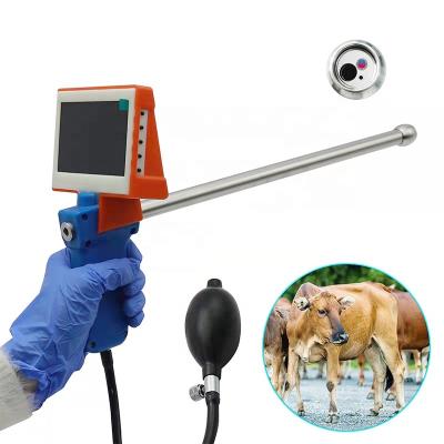 China Easy Horse Veterinary Cow Artificial Insemination Equipment Pig Dog Pig Dog Instruments Animal Operation Visual Insemination Gun For Cattle for sale