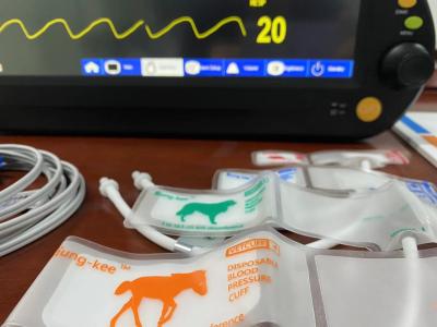 China 15 Inch Vital Signs Monitoring Equipment Multiparameter For Veterinary Patient for sale