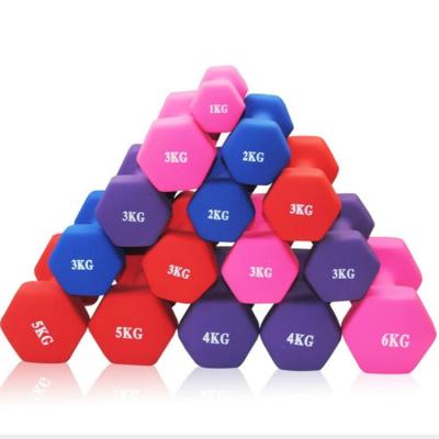 China 3kgscheap Universal Various Hex Promotional Home Durable Using Environmental Protection Gym Dumbbell for sale