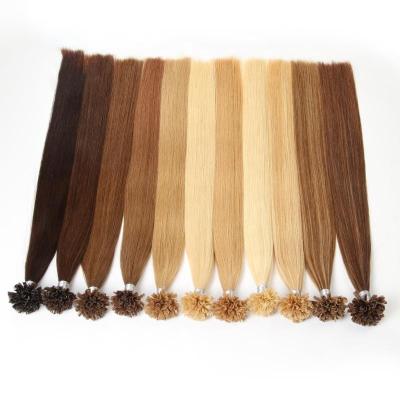 China Keratin Pre Bonded Hair Extension Wholesale ARLANY Pre Bonded Hair Extensions U Tip Hair Extension Nail Tilted Hair Extensions Gift For Women for sale