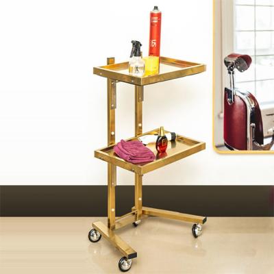 China Salon tools organize luxury gold medical hair nail furniture carts for beauty salon for sale