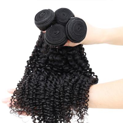 China No Tangle And Shedding Can Be Cuticle Aligned Dyed Mink Hair Grade 10A Raw Brazilian Hair Bundles Seller Hair Extension for sale